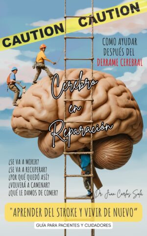 Cerebro en reparación