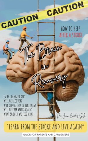 The brain in recovery